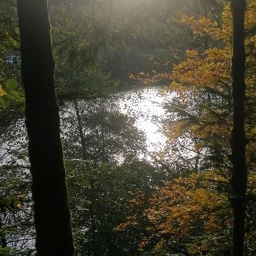 IMG 20251021 092751 (83 visites) IMG 20251021 092751