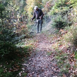 IMG 20251021 092744 (77 visites) IMG 20251021 092744