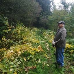 IMG 20251021 101141 (85 visites) IMG 20251021 101141