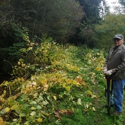 IMG 20251021 101143 (120 visites) IMG 20251021 101143