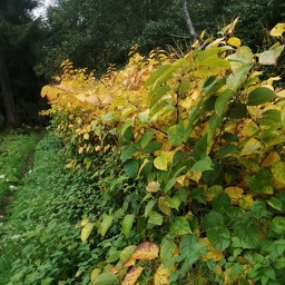 IMG 20251021 101148 (96 visites) IMG 20251021 101148