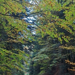 1000005419 (105 visites) 1000005419