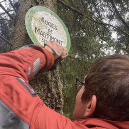 1000005422 (178 visites) 1000005422