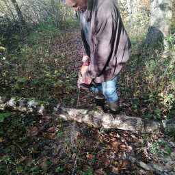 IMG 20251104 091912 (53 visites) IMG 20251104 091912