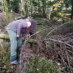 IMG 20251104 105129 (48 visites, score 3.06) IMG 20251104 105129