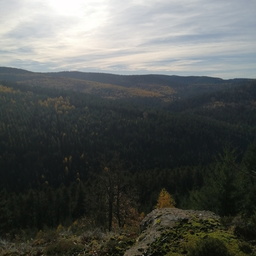 IMG 20251104 105537 (46 visites) IMG 20251104 105537