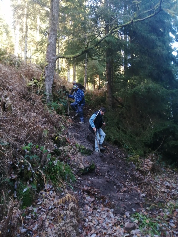 IMG_20251118_104217.jpg