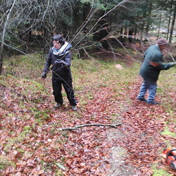 Nettoyage des branches et arbres sentier de la soie