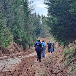 Vérification balisage  accès grand Rougimont