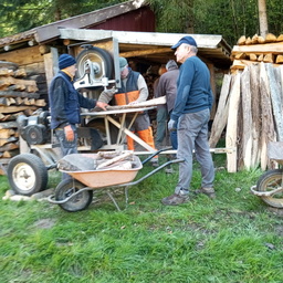 journée entretien printemps / sciage bois,tonte pelouse / peinture chéneaux marquises / pose filet but football/ nettoyage intétieur