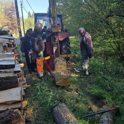 Bois à la Maison de la Forêt / Entretien des extérieurs 