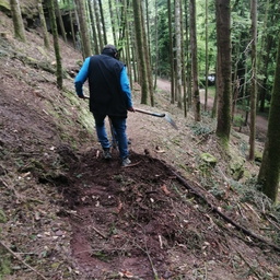 Petitmont / Entretien sentier Clineroche  après coupe de bois